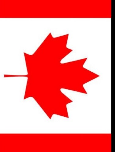 Joe__Herlihy's profile picture. 