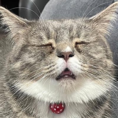 カレン_さんのプロフィール画像