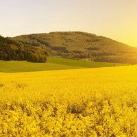 Filip lip (@lipfilip76253) Twitter profile photo