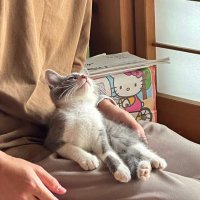 yuki (@yuki_inv_346) Twitter profile photo