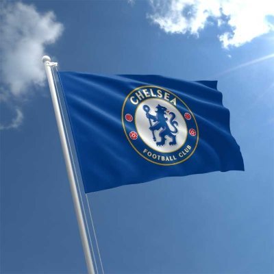 Screaming Shady and Chelsea till I Die