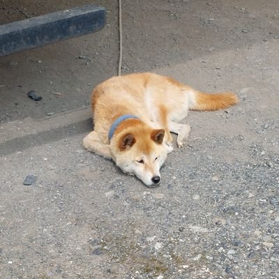 U501me4659ay's profile picture. 日本の未来が心配すぎる。参政党いいかも🌕