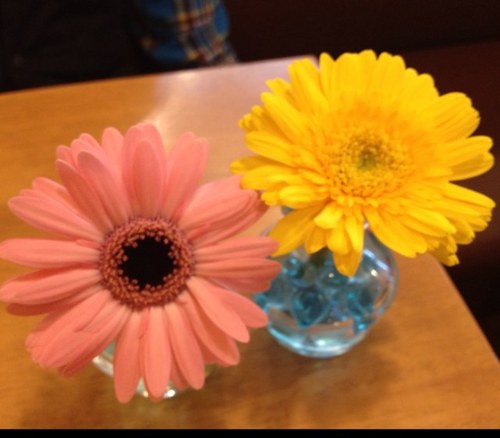 MUKUSP's profile picture. 仙台在住。男の子育てながら会社員してます。