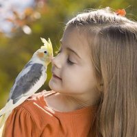 Profile that make your day 🤗 (@humanlikebro) 's Twitter Profile Photo