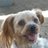 tomom_pulin's profile image