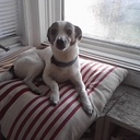 Kitty Richards - @Iamthegr8Kitty - Twitter