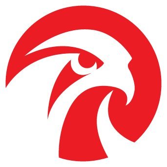 Falcon’s Beyond Profile