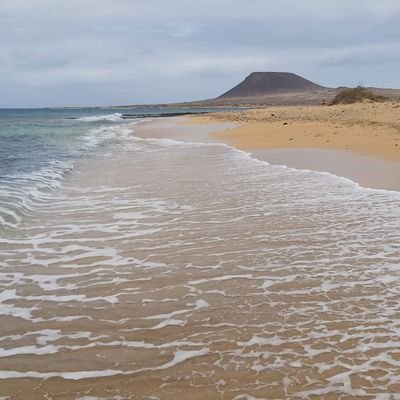 fedelanza53's profile picture. 