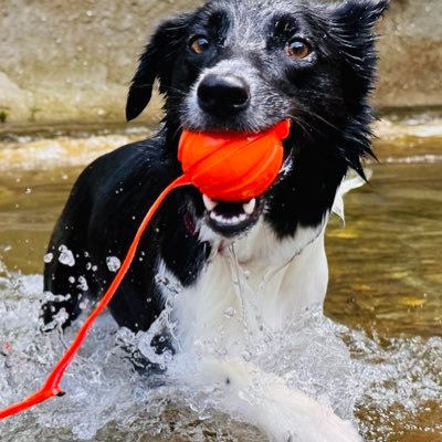 t_gaburin's profile picture. 私は私の人生を楽しむだけ💕