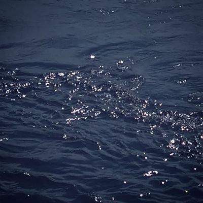 minamiina's profile picture. かすかに、たしかに、燦めく日々を。