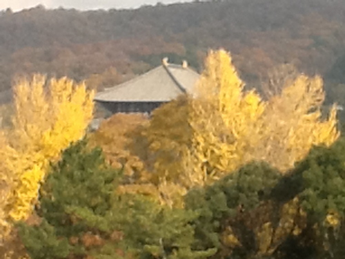 nagahikoniisan's profile picture. 奈良に住んで奈良で働く公務員。建築とまちづくりが専門です。アジアの都市をウロウロした後、今の興味は奈良の歴史と奈良の地酒です。