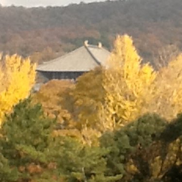 NagahikoTsujimoto
