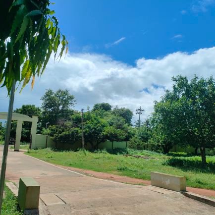 jy_otirmaya07's profile picture. 