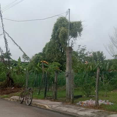 Mariana919673's profile picture. 