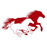 Farmers Branch Elementary School (@fbemustangs) 's Twitter Profile