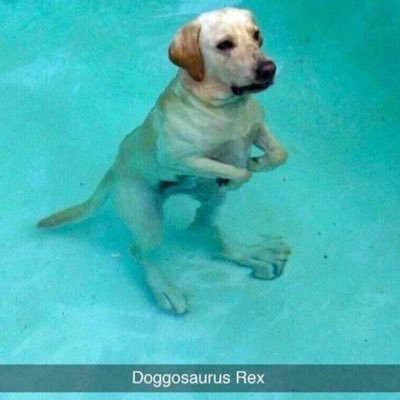 Glycerald's profile picture. 