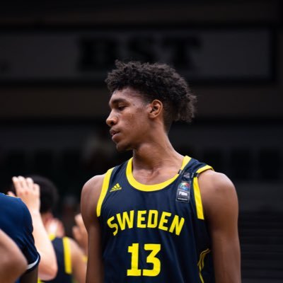 6’10 forward/center 7’2 wingspan c/o 2025 u16 & u18 Swedish national team(2022-24) contact my agent at 0705242387 on whatsapp and me at 0735912305