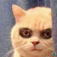 upiladudu (@aglinoo) 's Twitter Profile