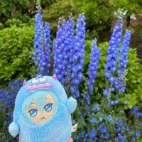 ๐๏ธใใใ๐ (@wasaogunst) 's Twitter Profile