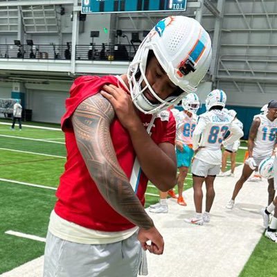 Miami Dolphin Season Ticket Holder.