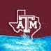 Texas A&M Swimming & Diving (@AggieSwimDive) Twitter profile photo