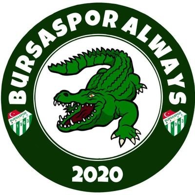 Bursaspor ile dertlenen, menfaatsizlerin sayfası.