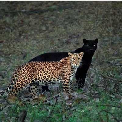 aravwin's profile picture. I am