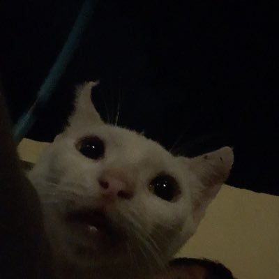 ilijiljjil's profile picture. 