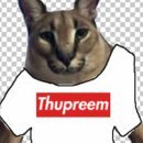 THUPREEM(@THUPREEMRL) 's Twitter Profile Photo