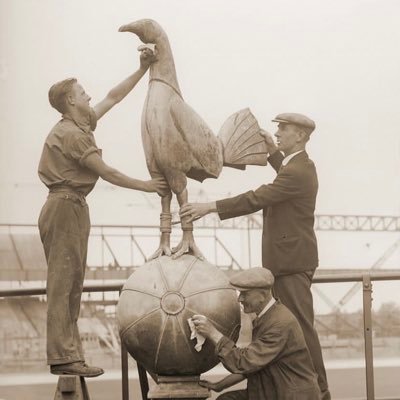 Stylewave2's profile picture. 