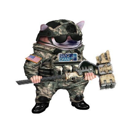 UkrLurk's profile picture. I am an arms dealer. Filling you with weapons in the form of memes. #NAFO #shitposting