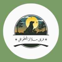 فريق ملاذ التطوعي 🐾(@Safehaven_team) 's Twitter Profile Photo