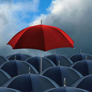 Don't compete with rivals, make them irrelevant! We can help your business stand out with innovative Solutions 4 your business. How can we help you today?