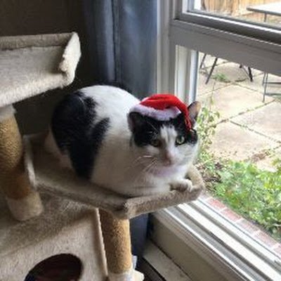 Harleymain2006's profile picture. Hi