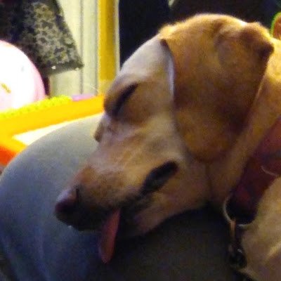 bowen_perryz's profile picture. bleh