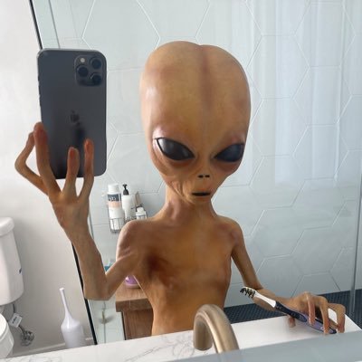 AhoyitsAloy's profile picture. 