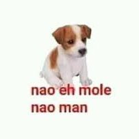 BreninBacana's profile picture.
