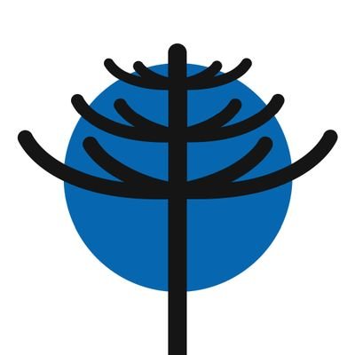 RumboColectivo's profile picture. 