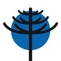 Rumbo Colectivo (@rumbocolectivo) 's Twitter Profile