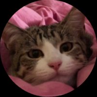みりん (@redpanda258) 's Twitter Profile