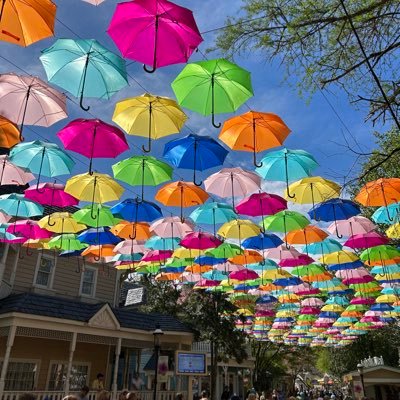 botsrevery50446's profile picture. 