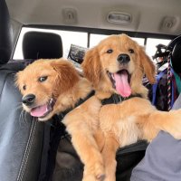 Tommy Davis (@doghouse_sports) 's Twitter Profile