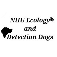 nhu_ecology_and_detection_dogs(@nhuecologydogs) 's Twitter Profile Photo