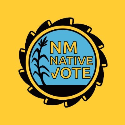 NativeVoters Profile Picture