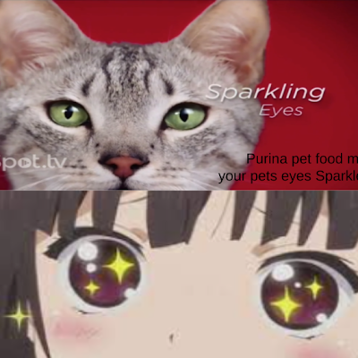 aidangr24790192's profile picture. 