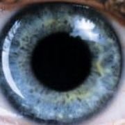 Cosxaphan's profile picture. Takipçi kabul edilmez. Takip eden engellenir.