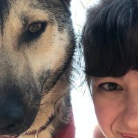 Ceyda Tarhan (@doktorkimbilir) 's Twitter Profile Photo Ceyda Tarhan (@doktorkimbilir) 's Twitter Profile Photo
