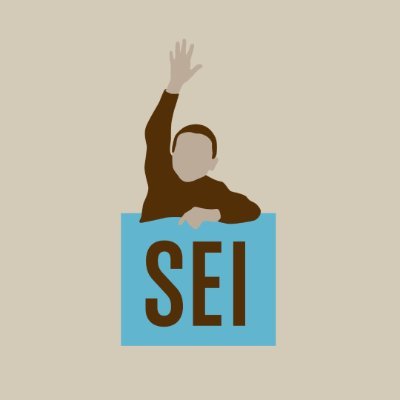 Self Enhancement, Inc. Profile