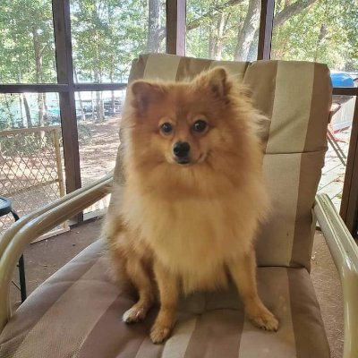 christiana6584's profile picture. I'm Christiana fun and lovely to be with looking for a serious relationship