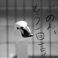 冬狐 (@fullmoonlua) 's Twitter Profile Photo 冬狐 (@fullmoonlua) 's Twitter Profile Photo